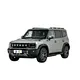 JETOUR Shanhai T2